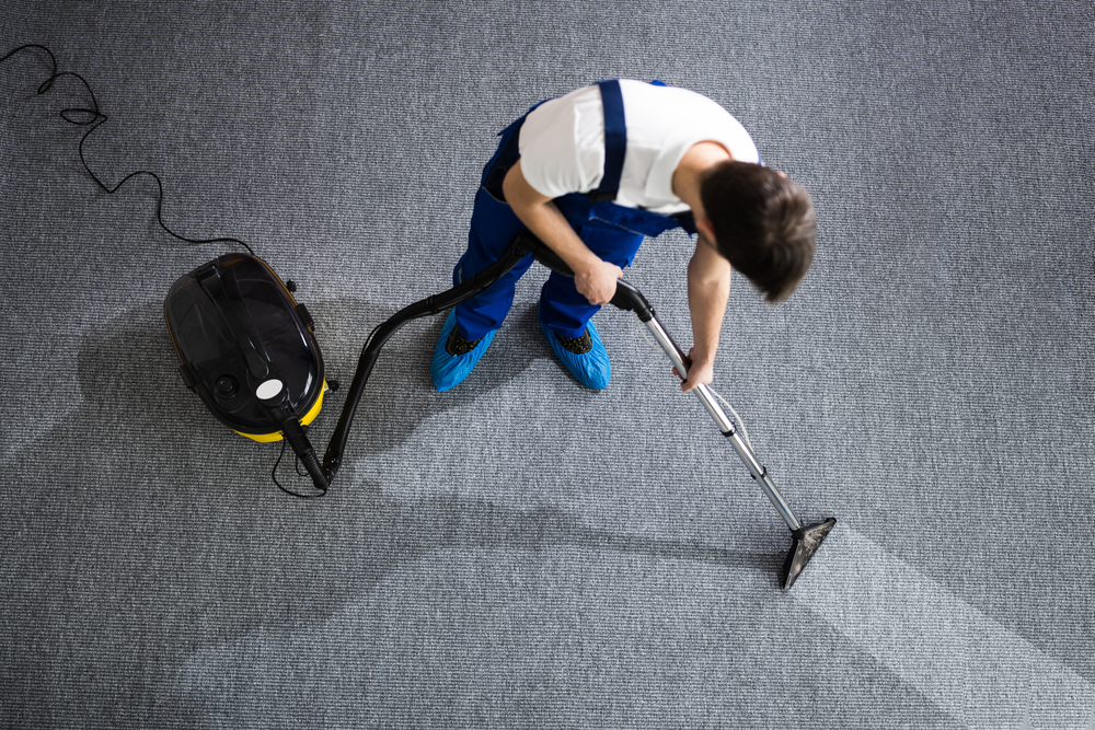 Deep carpet cleaning in Montclair