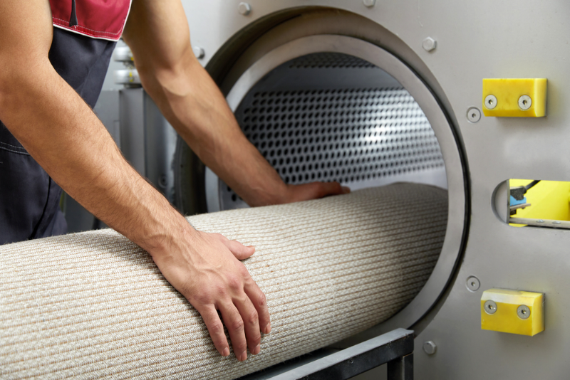 Pet stain removal in Montclair