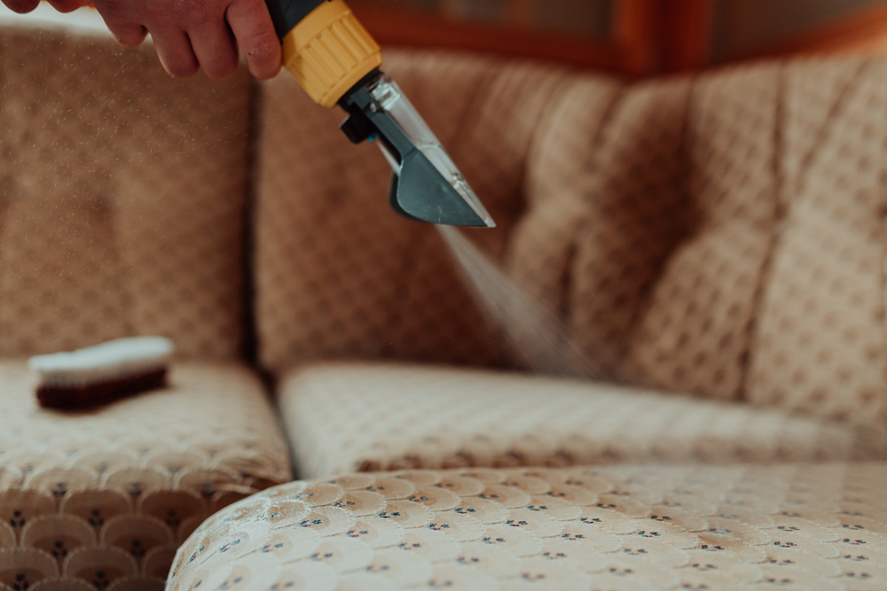 Upholstery cleaning near Montclair